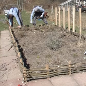 bedafgrænsning pileflet bedafgrænsning pileflet